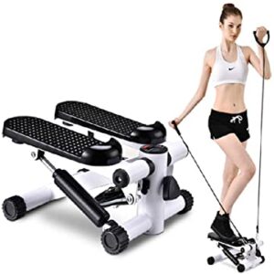Mini Stepper